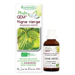 Vigne vierge Bio Phyto'gem - 40ml