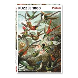 Puzzle Haeckel - Colibri - 1000 pcs