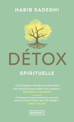 Livre  Détox spirituelle - Sadeghi Habib