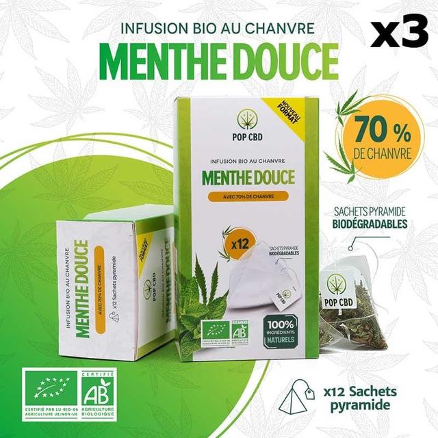 Lot 3 Infusions bio MENTHE DOUCE en Sachets (3x12)