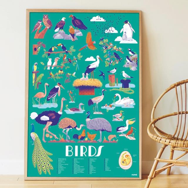 Poster géant 45 stickers Oiseaux