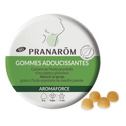 Gommes adoucissantes Menthe Eucalyptus 45g