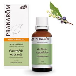 Gaulthérie odorante Feuille Bio 30ml