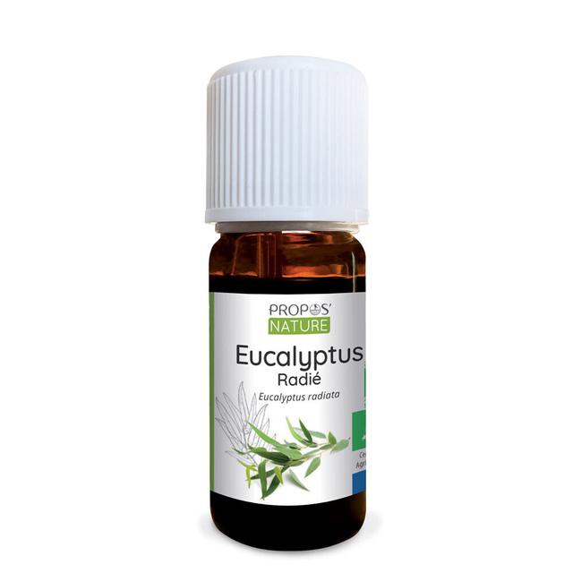 Eucalyptus radié BIO (AB) - Huile essentielle 10