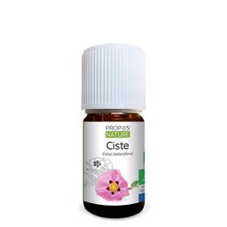 Ciste BIO (AB) - Huile essentielle 5 ml