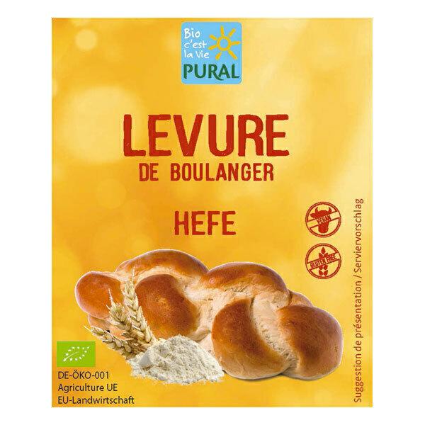 Levure de boulanger 9g