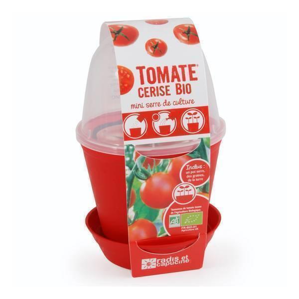 Pot cloche avec graines de tomates cerises Bio