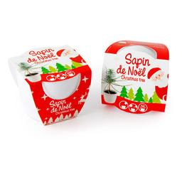 Kit de plantation sapin de Noël avec pot en céramique