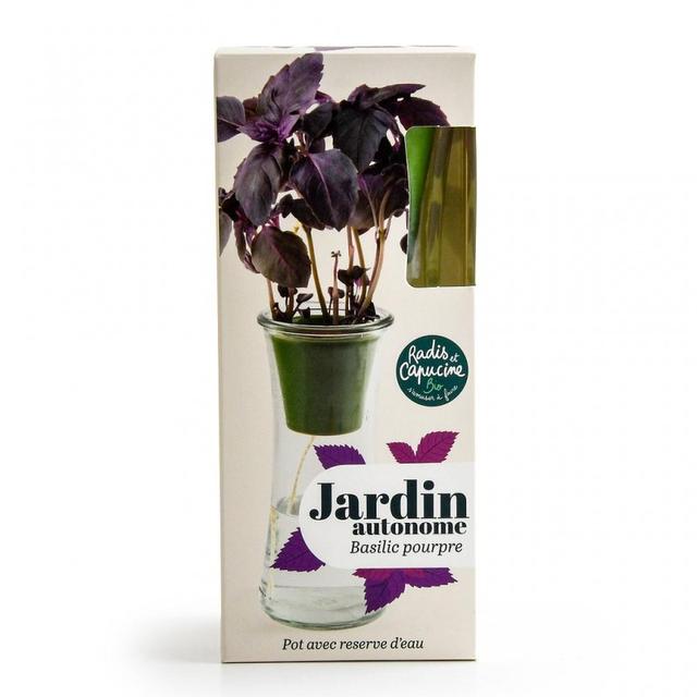 jardin autonome - basilic pourpre bio