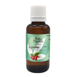 Gemmothérapie Eglantier 30ml