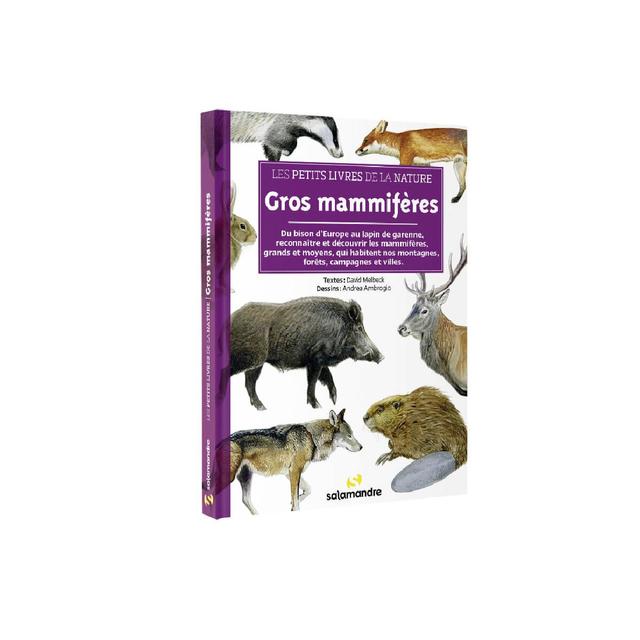 Les petits livres de la nature - Gros mammifères