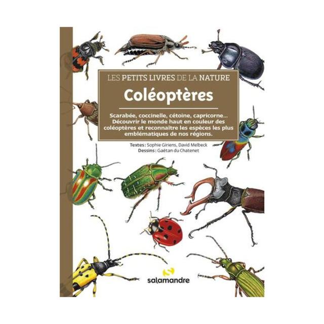 Les petits livres de la nature - Les coléoptères