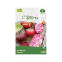 Betterave chioggia bio