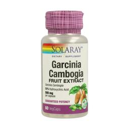 Garcinia Cambogia 60 capsules végétales de 500mg