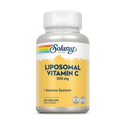 Lipo Vitamine C 100 capsules végétales (500mg)