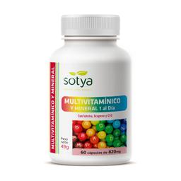 Multivitamines et minéraux 1 par jour 60 capsules