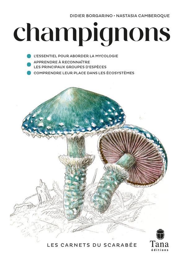 Livre  Les carnets du scarabée - Champignons