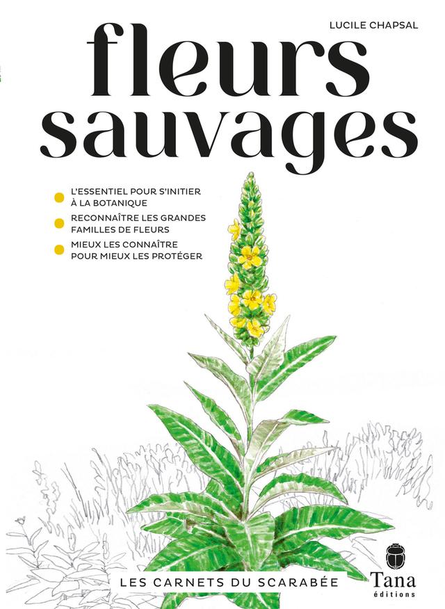 Livre  Les carnets du scarabée - Fleurs sauvages - Chapsal