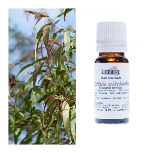 Huile essentielle d' Eucalyptus Citriodora Bio 10 ml