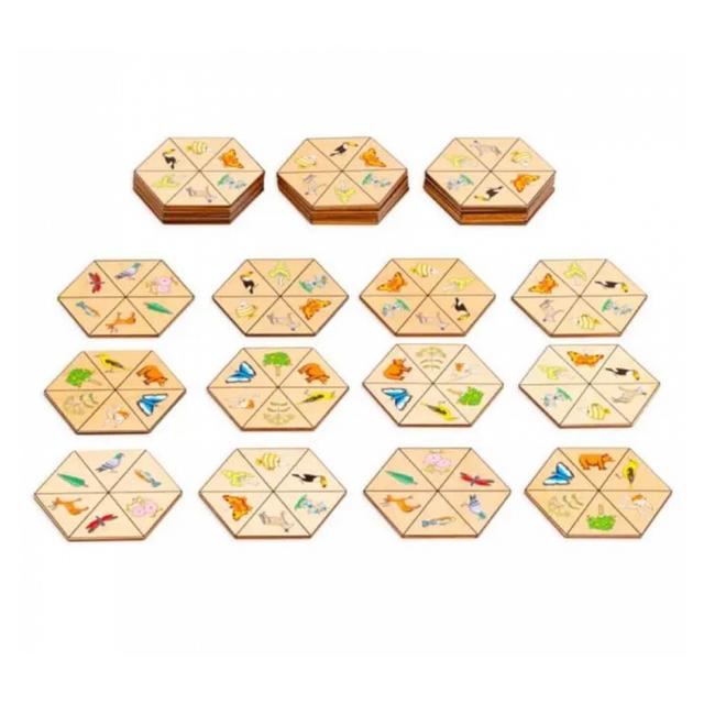 Matching Practice concentration - Nature Hexagon - jeu