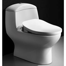 Abattant WC japonais Naïa 2