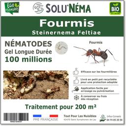 Fourmis-Nématodes (SF)-100 millions pour 200m²