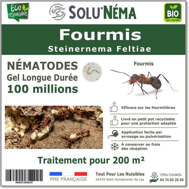 Fourmis-Nématodes (SF)-100 millions pour 200m²