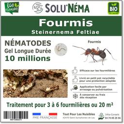 Fourmis-Nématodes (SF)-10 millions pour 3 à 6 fourmilières