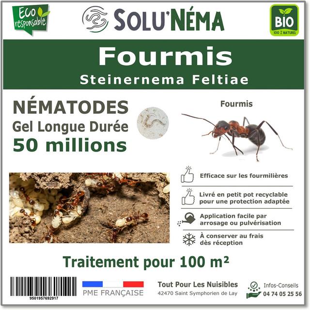 Fourmis - Nématodes (SF) - 50 millions traitement pour 100m²