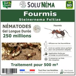 Fourmis - Nématodes (SF) - 250 millions traitement pour 500m²