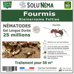 Fourmis-Nématodes (SF) -25 millions pour 50m²