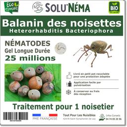 Solunéma - Balanin des noisettes- Nématodes (HB) 25 millions