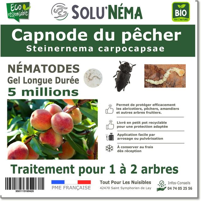 CAPNODE DU PECHER - 5 MILLIONS NÉMATODES Steinernema Carpocapsae