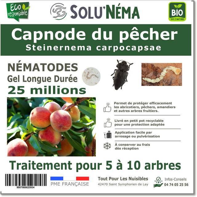 CAPNODE DU PECHER - 25 MILLIONS NÉMATODES (SC)