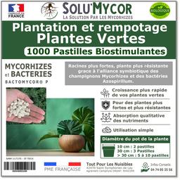 SoluMycor 1000 Pastilles Bio-stimulantes Plantes Vertes