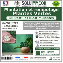 SoluMycor 50 Pastilles Bio-stimulantes Plantes Vertes