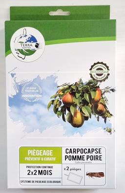 Carpocapse des pommes et poires