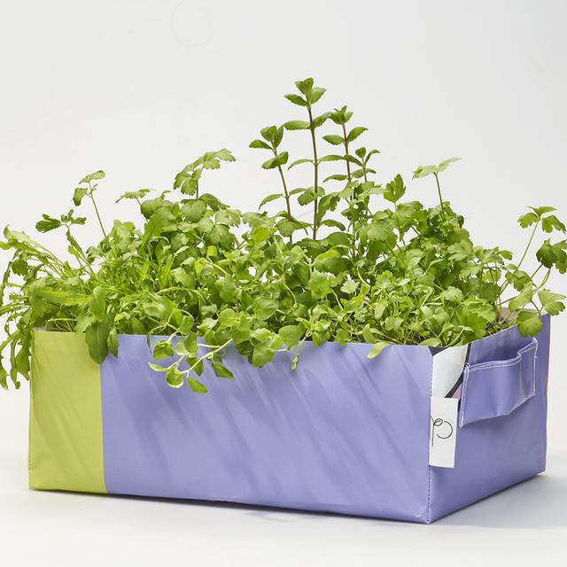 Kit potager urbain semi-hydroponique avec 6 variétés - Mesclun