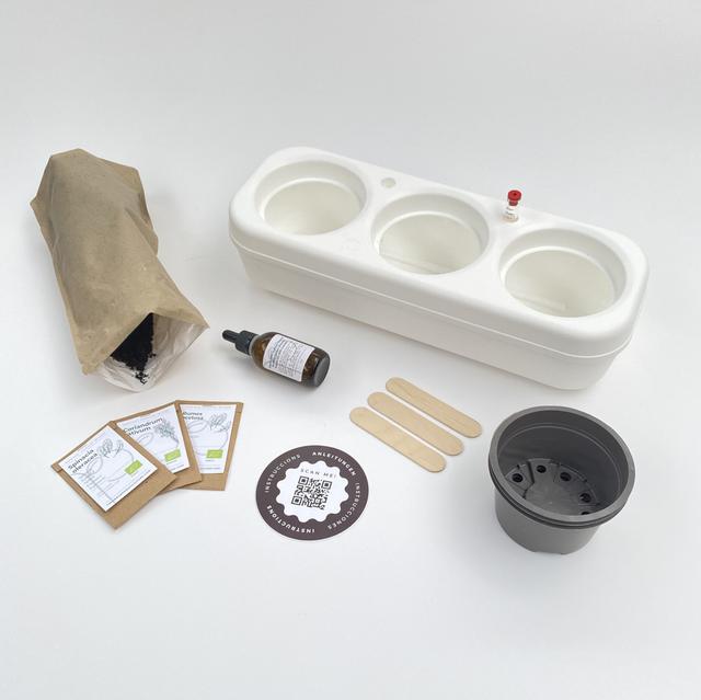 Kit potager urbain d'intérieur bio - Salade Colorée