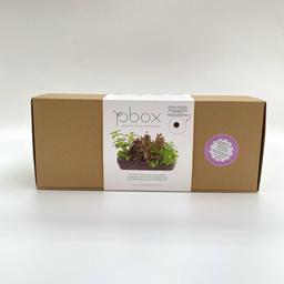 Kit à planter bio potager urbain semi-hydroponique - 3 Basilics