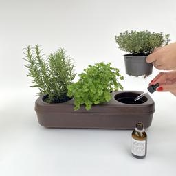 Kit bio potager urbain en liège - Coriandre, Basilic, Roquette