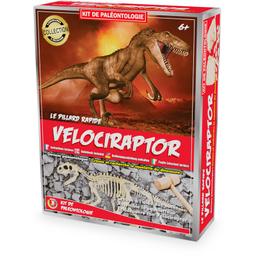 Kit Paleo - Vélociraptor