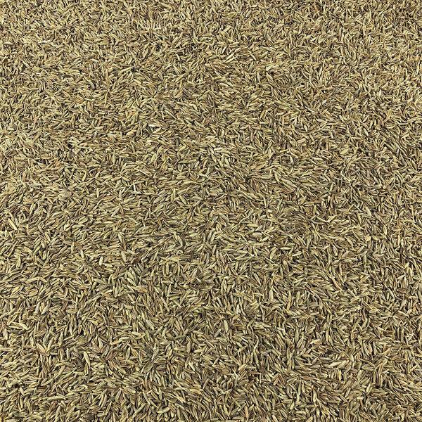 Cumin Graines Bio en Vrac 1 Kg