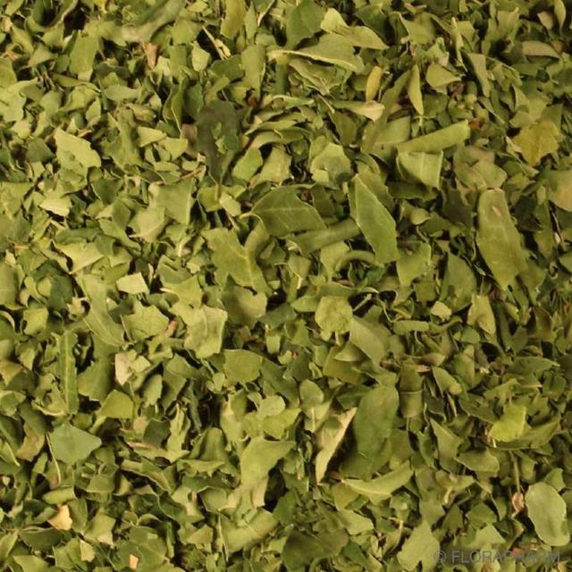 Moringa Feuilles Bio en Vrac 1 Kg