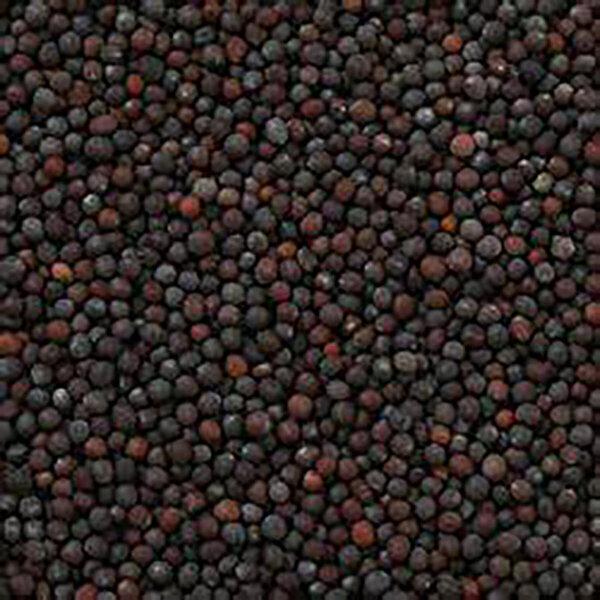 Moutarde Noire Graines Bio en Vrac 250g