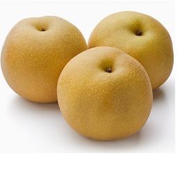 Pomme Canada Grise France 1kg