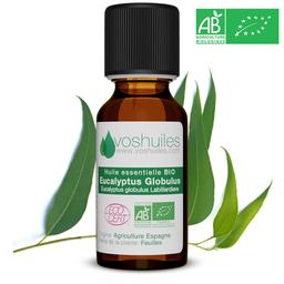 Huile Essentielle BIO d'Eucalyptus Globulus ML