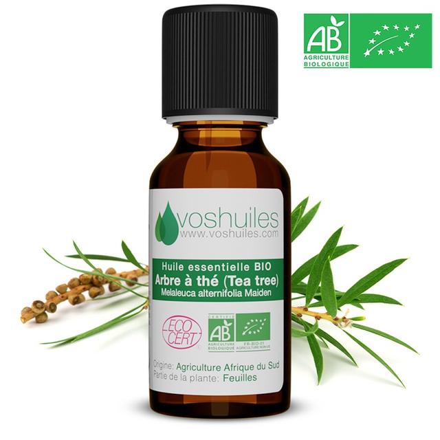 Huile Essentielle BIO d'Arbre à thé (Tea tree) ML