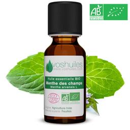 Huile Essentielle BIO de Menthe des champs ML