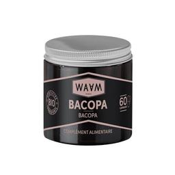 Capsules de Bacopa - Pot de 60 capsules Bio